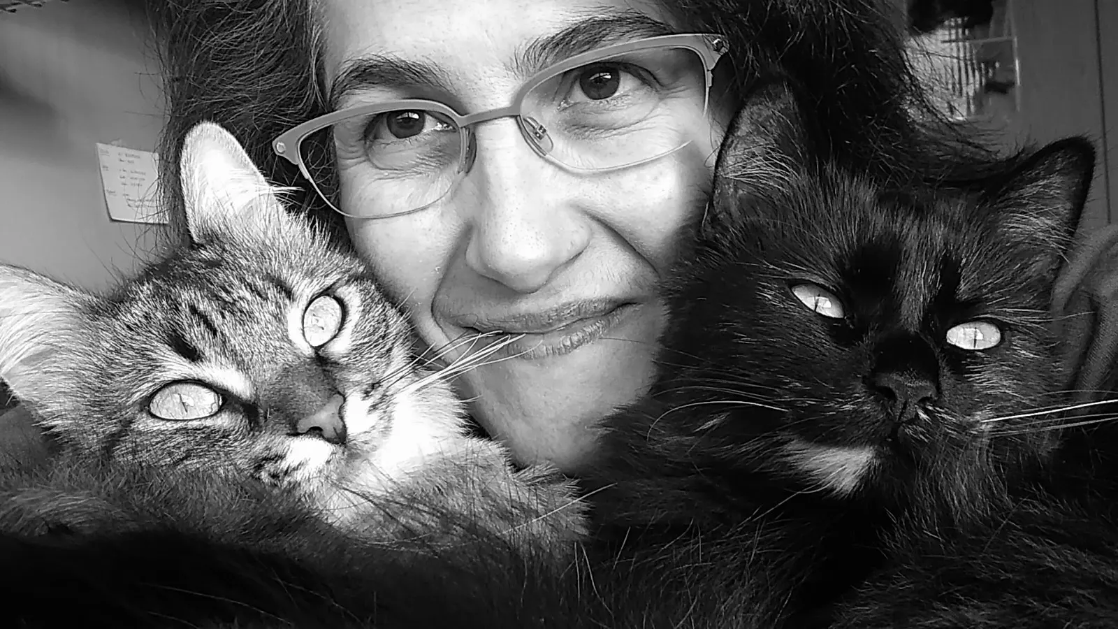 Maria Josep Pons